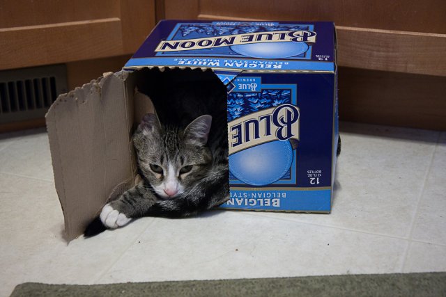 Sasha sleeps off a bender